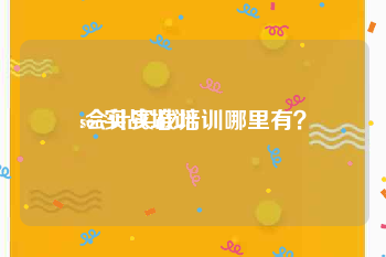 seo实战培训:会计实战培训哪里有？