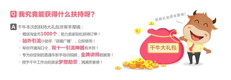 一起做网店(17网一起做网店)  第1张