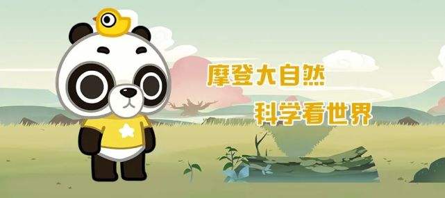 企鹅号app(企鹅号app安全吗)  第1张