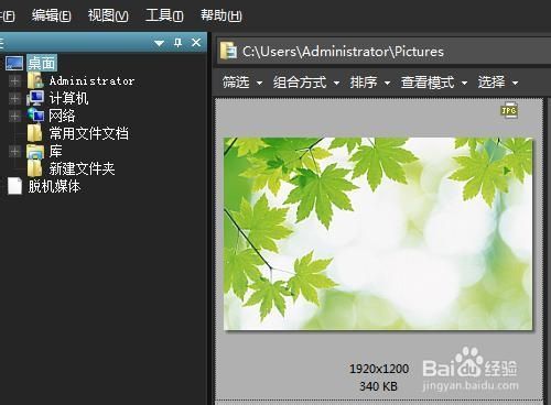 acdsee绿色破解版(acdsee10绿色破解版)  第1张