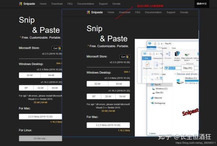 snipaste下载(snipaste下载了怎么打开)  第1张