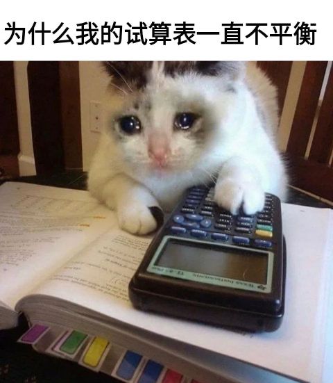 平账是什么意思(财务平账是什么意思)  第2张