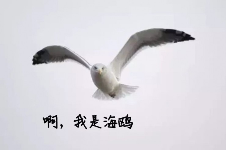 敏感词汇有哪些(网易云敏感词汇有哪些)  第1张