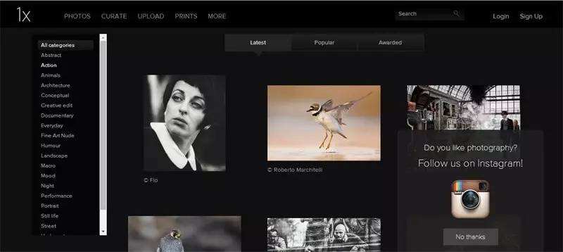 摄影学习网站(学摄影免费网站)  第1张