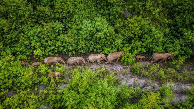 抖呗借款怎么样(贷呗借款怎么样) 第5张 抖呗借款怎么样(贷呗借款怎么样) 第5张