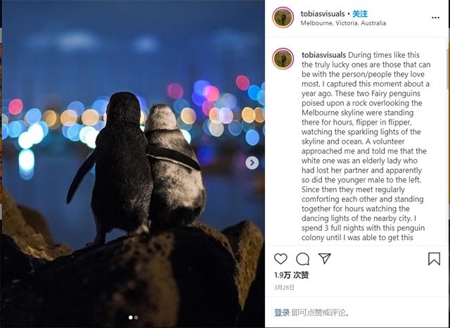 企鹅媒体(企鹅媒体平台注册官网) 第2张 企鹅媒体(企鹅媒体平台注册官网) 第2张