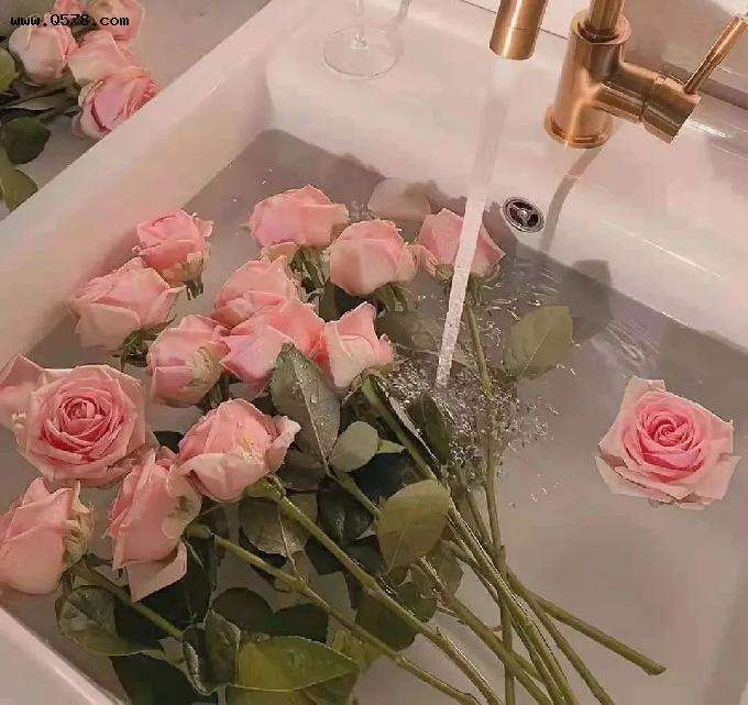 文案馆(文案馆名字推荐) 第2张 文案馆(文案馆名字推荐) 第2张