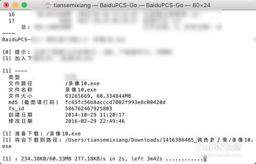 baidupcs(BaiduPCSGo)  第1张