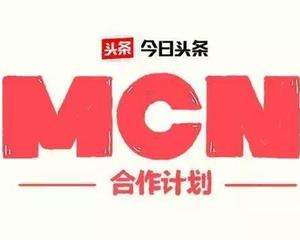 大鱼mcn(大鱼mcn机构)  第1张