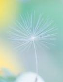 无水印手机影院(手机电影下载无水印) 第1张 无水印手机影院(手机电影下载无水印) 第1张