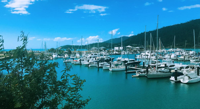 rol是什么意思(rolls是什么意思)  第4张