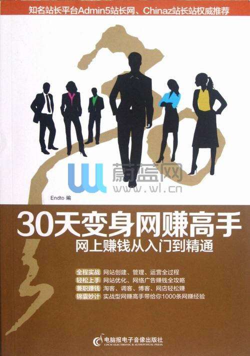 电子商务怎么赚钱(电子商务做什么赚钱)  第1张