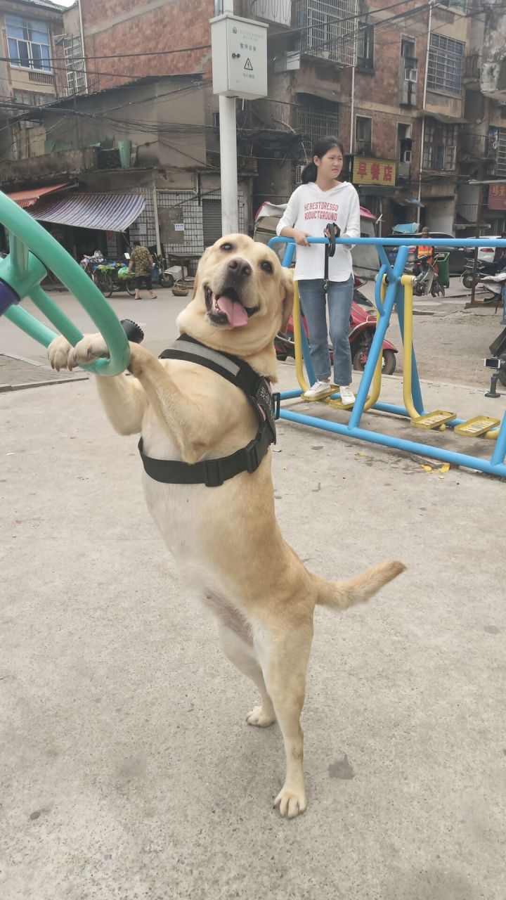 垂类(垂类有哪些) 第1张 垂类(垂类有哪些) 第1张