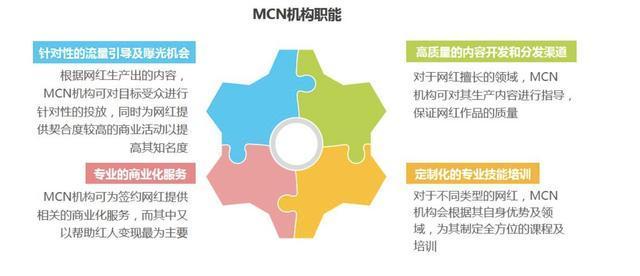 什么是mcn机构(什么是mcn机构的销售)  第2张