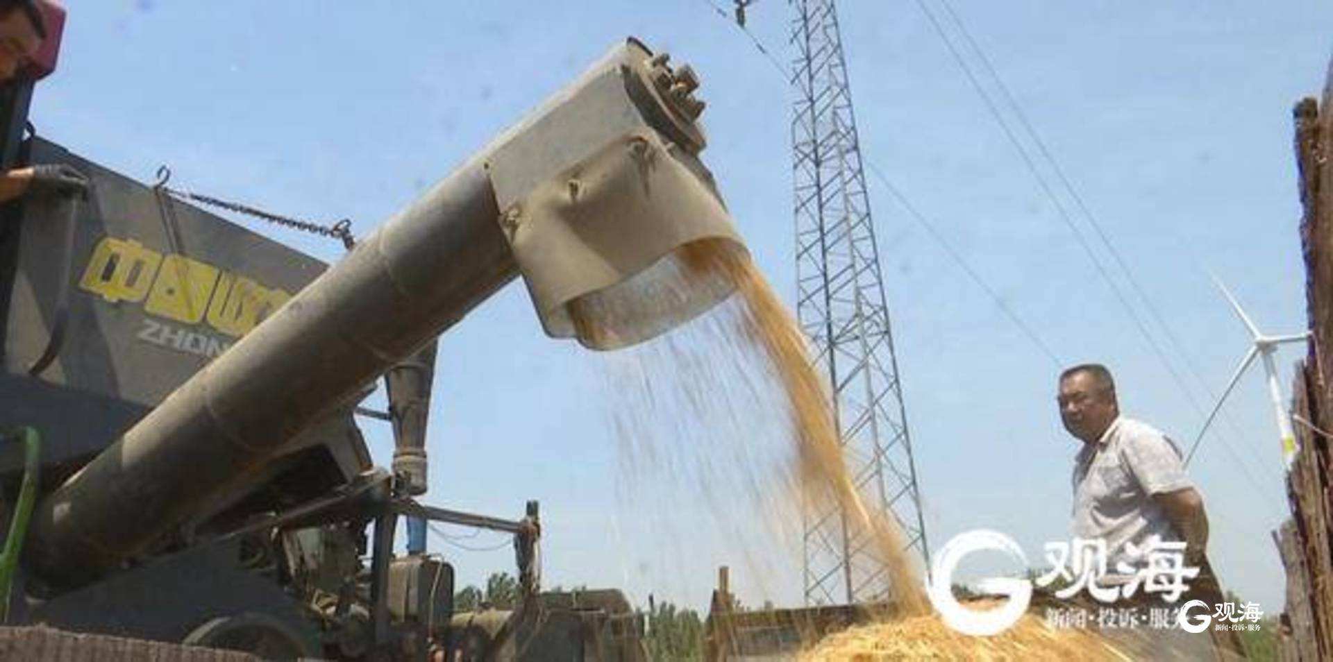 度小麦(度小麦下架了吗)  第2张