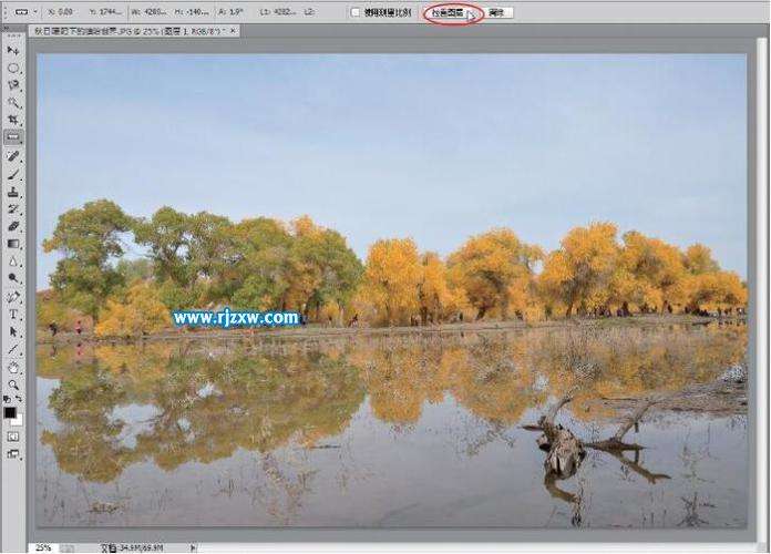 摄影自学网(免费摄影教程自学网)  第2张