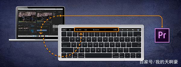 pr中文版免费破解版(pr中文版免费破解版2020)  第2张