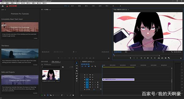 pr中文版免费破解版(pr中文版免费破解版2020)  第3张