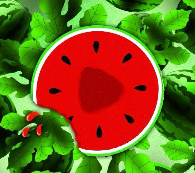 西瓜视频网(西瓜视频网址app怎么查)  第1张