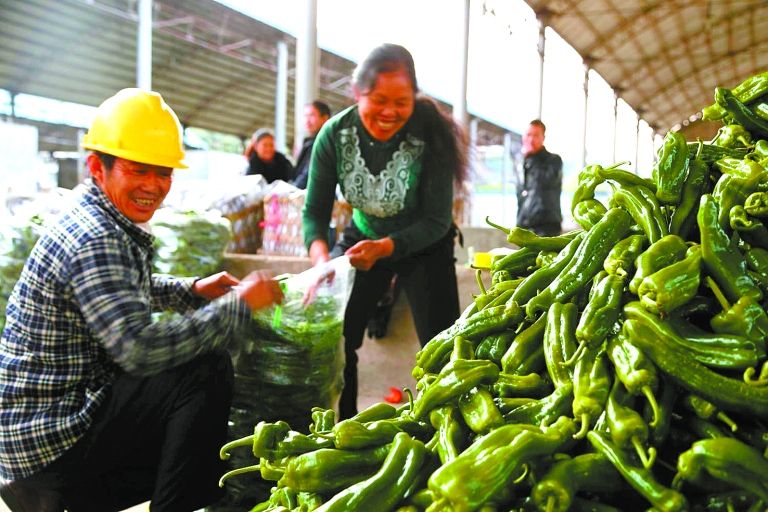 蔬菜销售(蔬菜销售属于什么经营范围) 第2张 蔬菜销售(蔬菜销售属于什么经营范围) 第2张