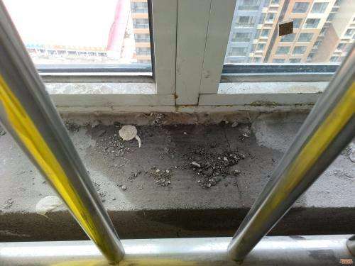 拉片是什么意思(彩色托拉片是什么意思)  第2张