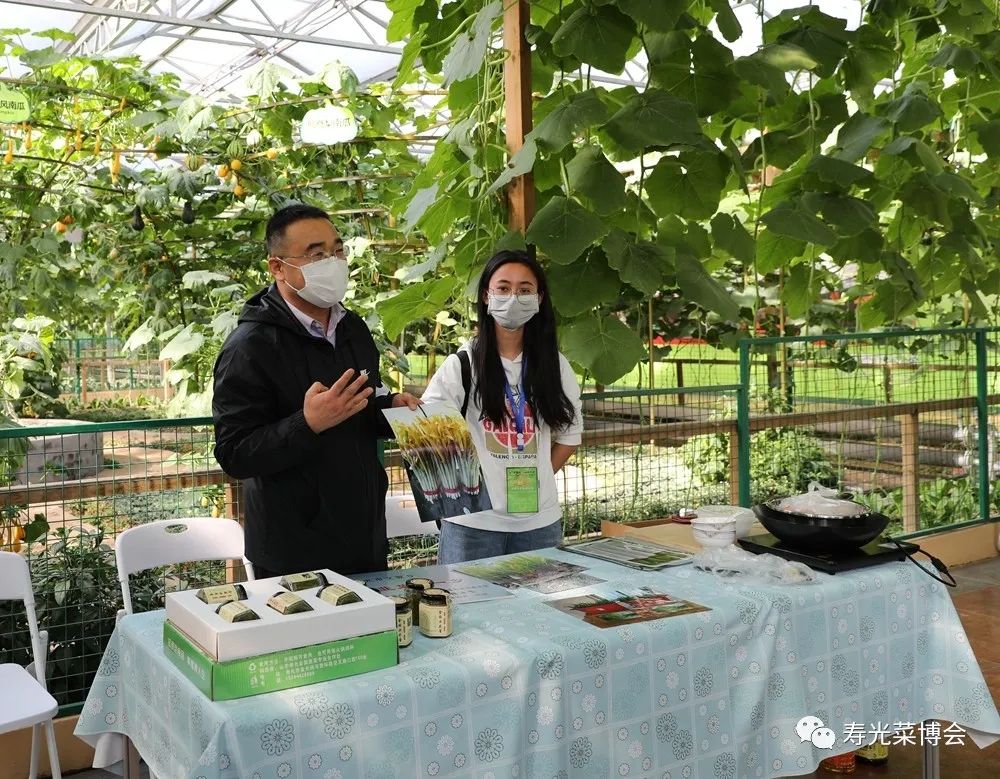 寿光蔬菜网(寿光蔬菜网上预约)  第1张