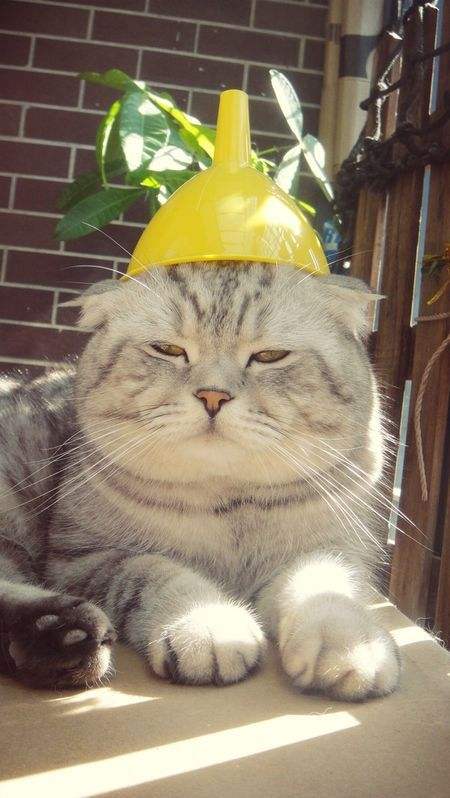 网络包工头(网络包工头是什么意思)  第2张