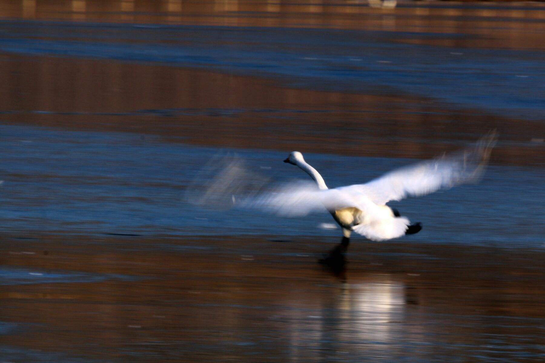 静态拍摄(静态拍摄手法) 第1张 静态拍摄(静态拍摄手法) 第1张