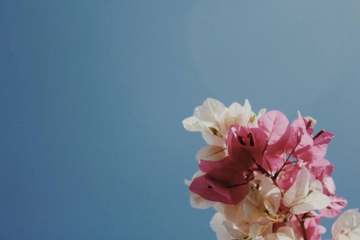 静态拍摄(静态拍摄手法) 第2张 静态拍摄(静态拍摄手法) 第2张