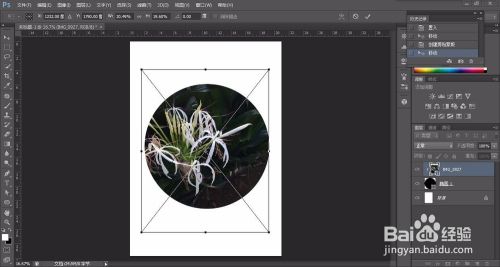 蒙版的使用方法(手机蒙版的使用方法)  第1张