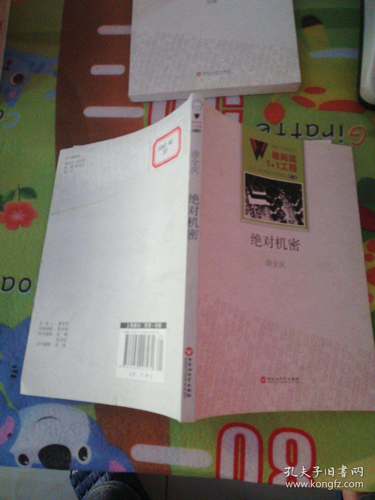 绝对机密(绝对机密电视剧全集完整版)  第2张