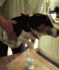 插动态图(恐怖动态图)  第2张