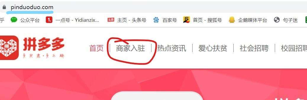 拼多多手机网页版(拼多多手机网页版登录)  第1张