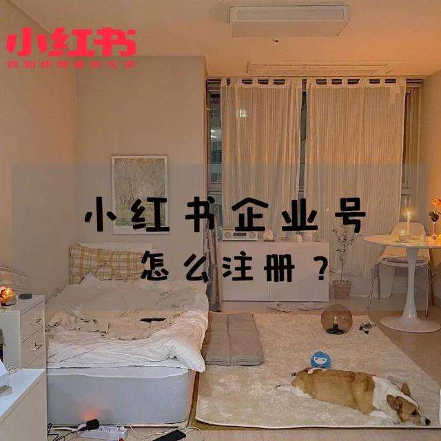 小红书认证(小红书认证蓝v要钱吗)  第2张