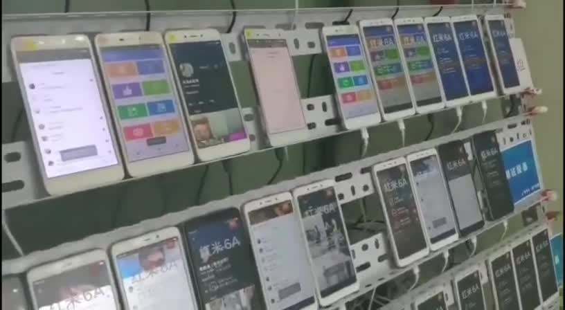 抖音群控(抖音群控30个号一天收益多少)  第2张