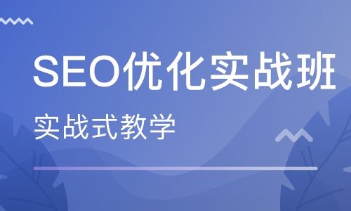 seo怎么学(做seo要学什么)  第2张
