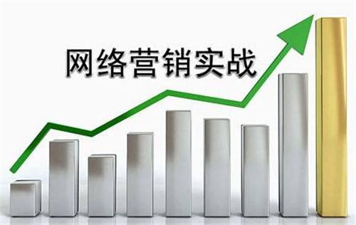 网络营销是干什么的(网络营销是干什么的违不违法)  第2张