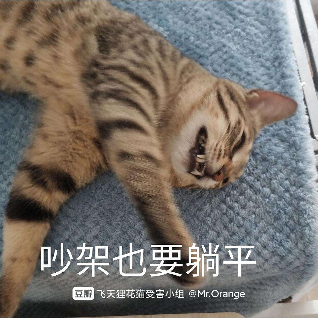 躺平是什么意思(躺平是什么意思? 通俗)  第2张