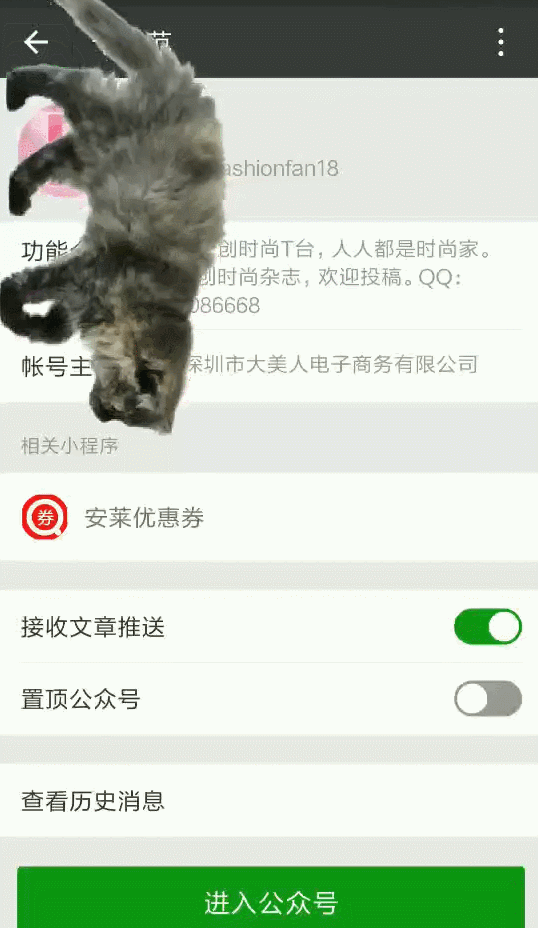 云养猫什么意思(网络用语云养猫是什么意思)  第1张