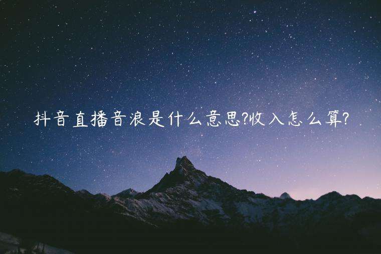 音浪是什么意思(收入音浪是什么意思)  第1张
