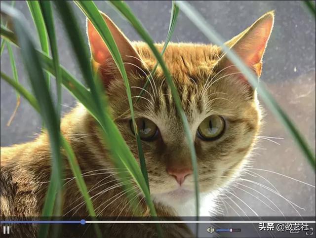 vlog是什么意思(vlog是什么意思网络用语)  第8张