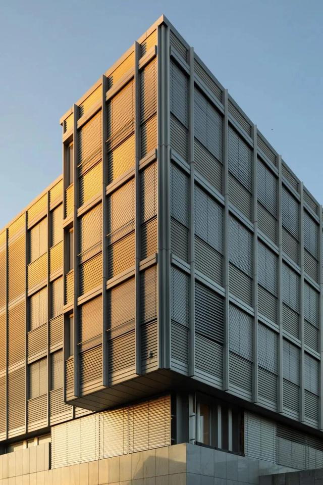 对称式构图(对称式构图达到的效果一般不包含 )  第19张