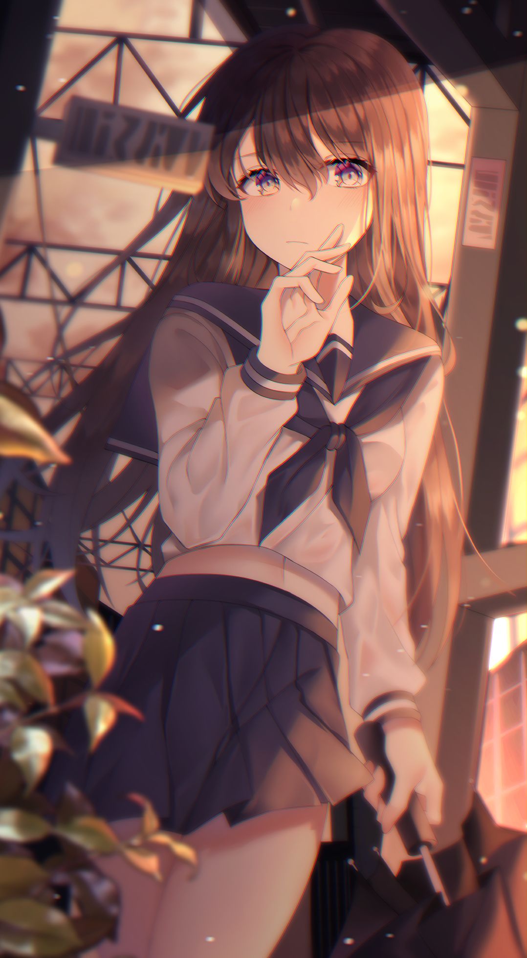 什么是p站(什么是p站怎么进)  第1张