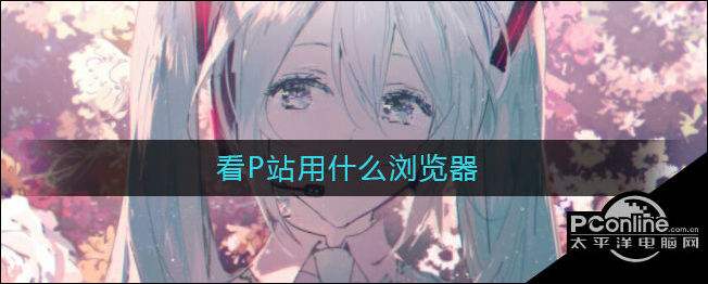 什么是p站(什么是p站怎么进)  第2张