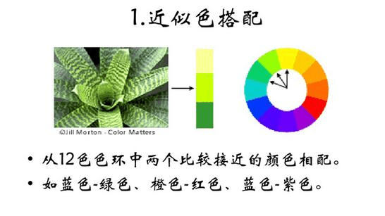 色彩搭配技巧(丝巾与服装的色彩搭配技巧)  第2张