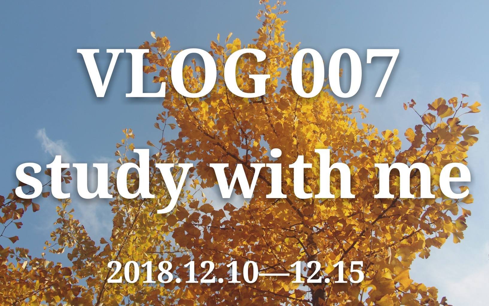 什么是vlog(什么什么是什么是)  第2张