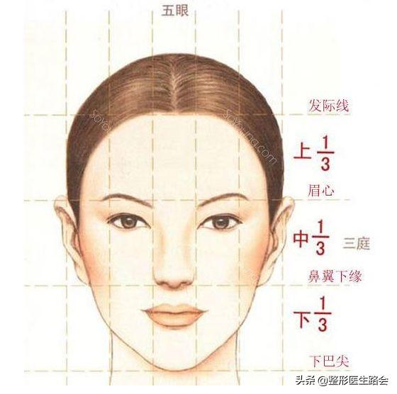面部图片(面部图片 结构图)  第1张