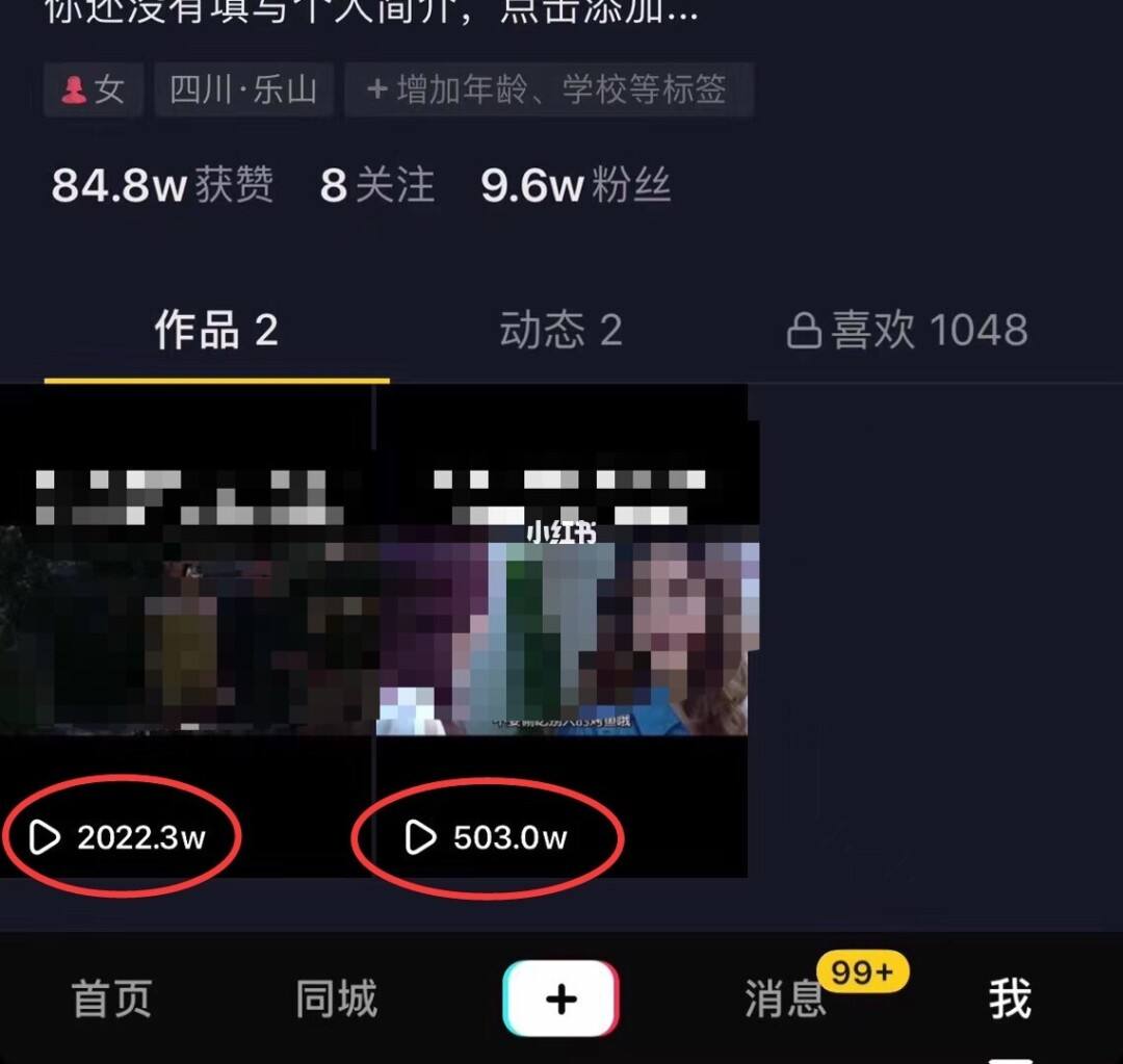 剪辑师一个月收入多少(婚礼剪辑师一个月收入多少) 第1张 剪辑师一个月收入多少(婚礼剪辑师一个月收入多少) 第1张