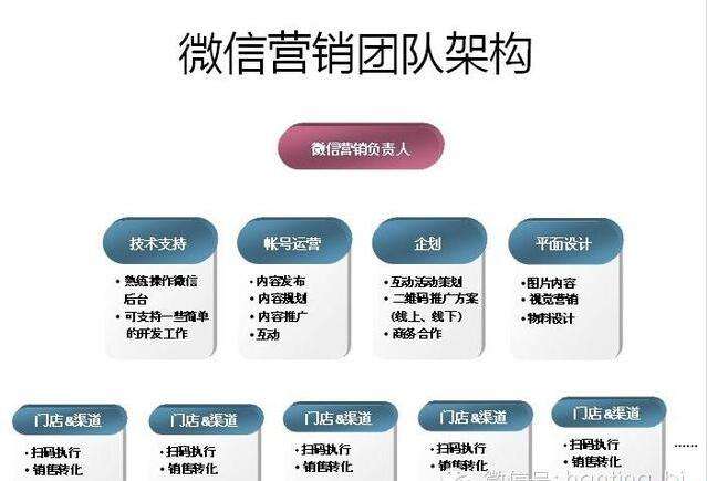 微信运营内容(微信运营内容规划)  第1张
